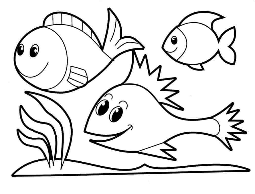 Hình ảnh Phim Hoạt Hình Cá Hề Cá Dễ Thương Tay Vẽ Cá PNG  Cá Clipart  Người Câu Cá Marine Fishes PNG miễn phí tải tập tin PSDComment và Vector